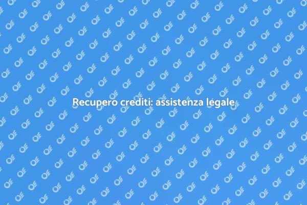 Importanza dell'assistenza legale
