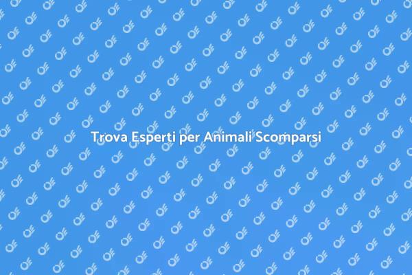 Recupero Animali: Affidati agli Esperti