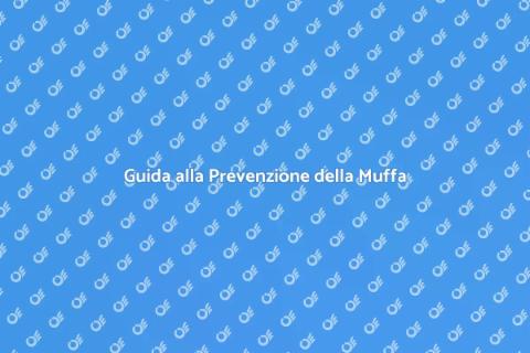 Muffa su Pareti: Come Prevenirla