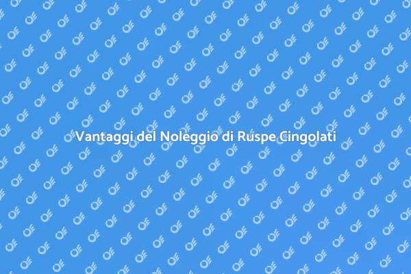 Noleggiare Ruspa Cingolati: Ecco Come