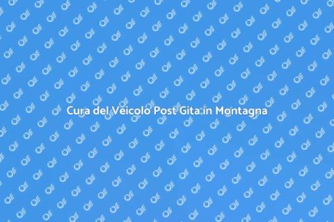 Pulizia Veicolo dopo Gita in Montagna
