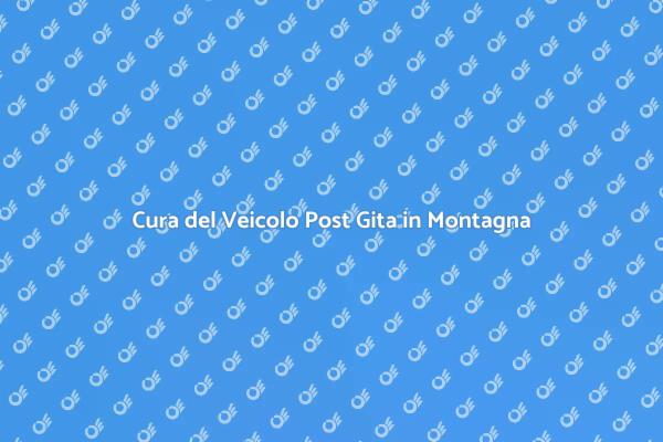 Come Pulire il Veicolo dopo una Gita