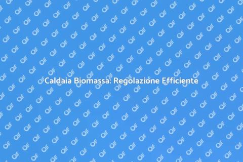 Regolazione Caldaia Biomassa per Comfort