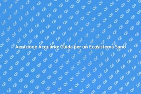 Aerazione Acquario: Fondamentale per Salute