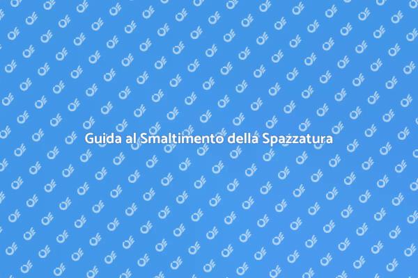 Rimozione e Smaltimento della Spazzatura