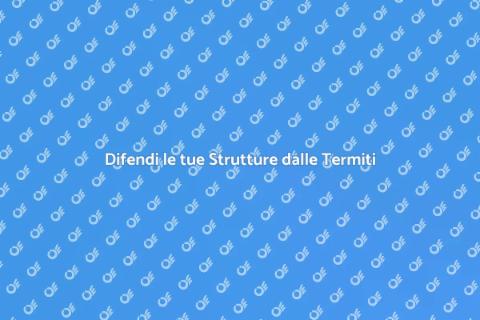 Protezione Strutture dagli Danni Termiti