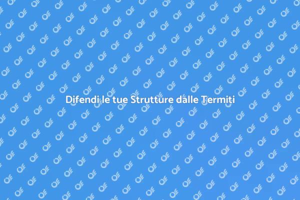 Protezione Edifici: Termiti e Sicurezza