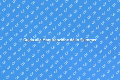 Manutenzione Skimmer per Piscine