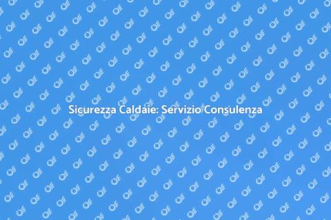 Consulenza Bollino Blu Caldaia