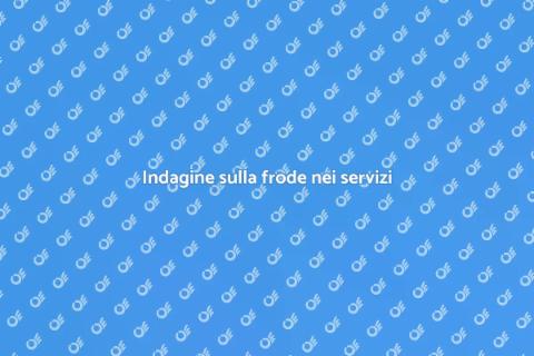 Frode nei servizi professionali