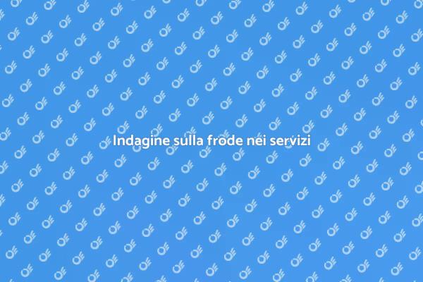 Frode nel settore professionale