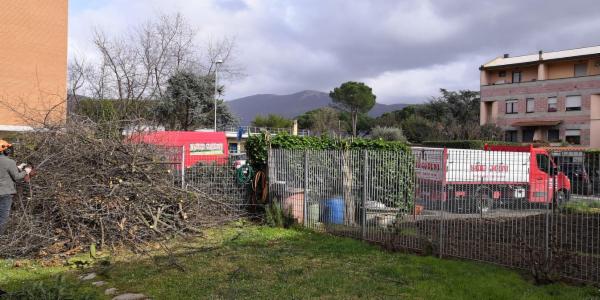Master Giardini snc - Foto 7