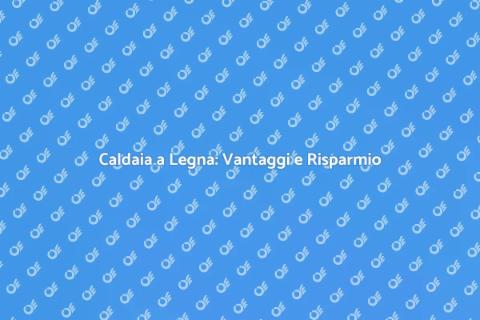 Caldaia a Legna: Riscalda Sostenibile