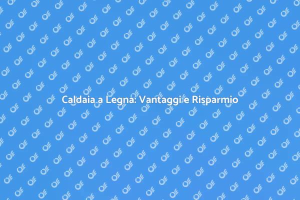 Riscaldamento Sostenibile con Caldaia a Legna