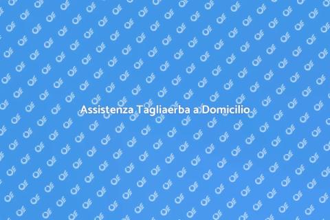 Riparazione Tagliaerba a Domicilio