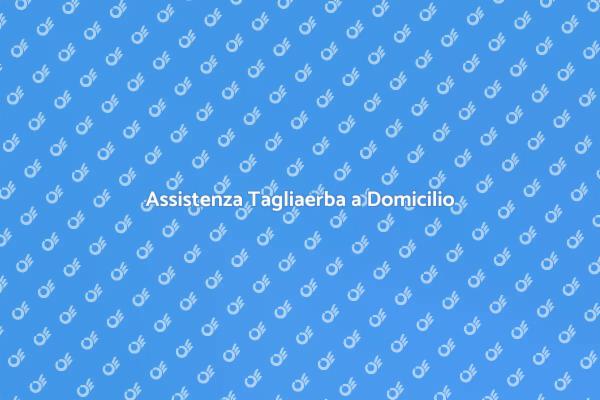 Servizio Riparazione Tagliaerba