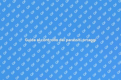 Controllo parassiti ortaggi: guida utile