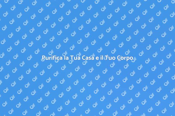 Rinnova il Tuo Spazio con un Trattamento