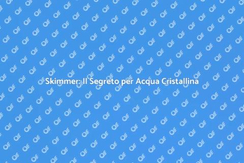 Manutenzione Skimmer: Piscine Sempre Pulite