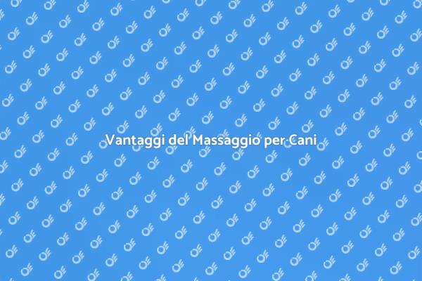 Massaggio per Cani: Benefici e Vantaggi