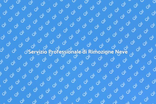 Rimozione Neve: Affronta l'Inverno!