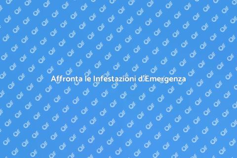 Disinfestazione d'Emergenza con Ernesto