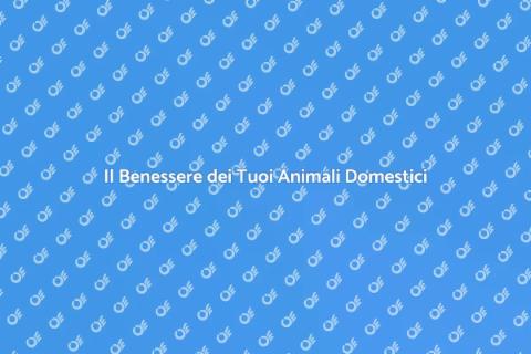 Massaggiatore per Animali Domestici