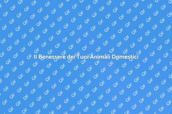 Migliora la Vita dei Tuoi Animali