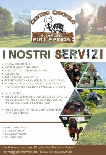 Gli amici di Full e Frida ASD - Foto 3
