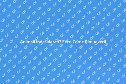 Rimozione Animali: Guida Pratica
