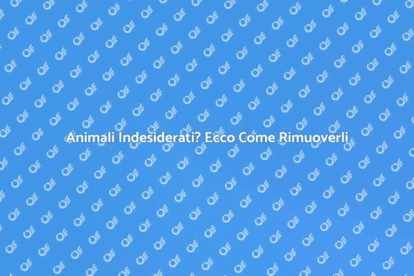 Rimozione Animali: Come Affrontare il Problema