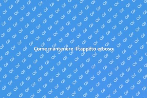 Cura del tappeto erboso perfetta