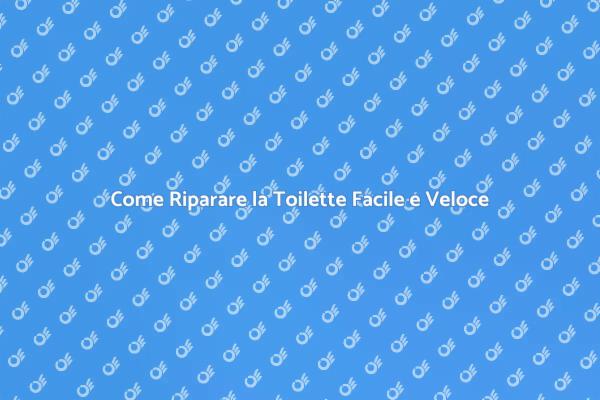 Riparazioni Toilette: Soluzioni Efficaci