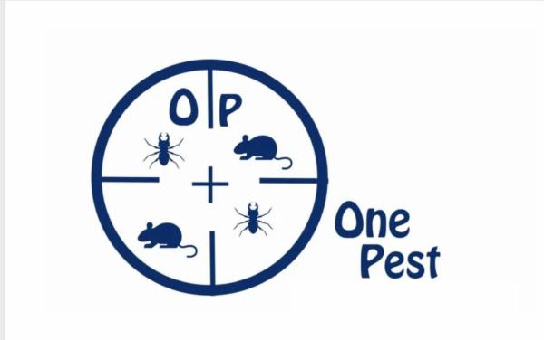 One pest - Foto 1