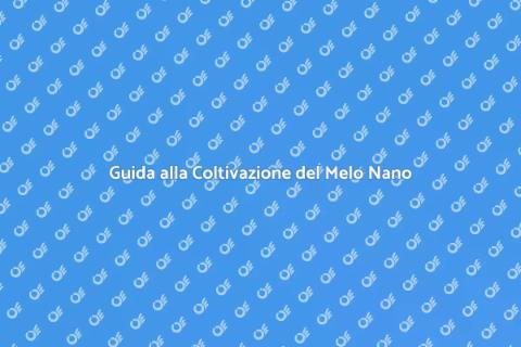 Melo Nano in Giardino: Guida Pratica