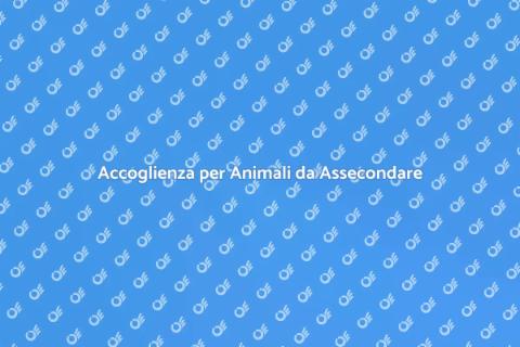 Pensione per Animali Affettuosa