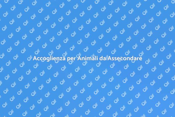 L'Amore nella Pensione per Animali