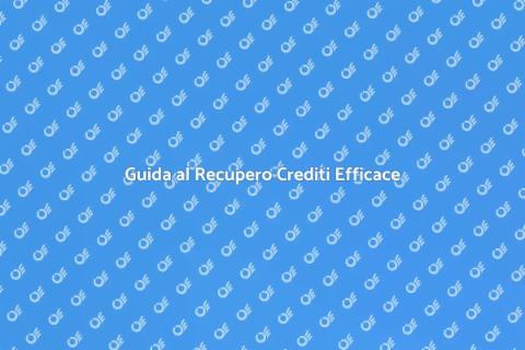 Recupero Crediti: Guida alla Contrattualizzazione