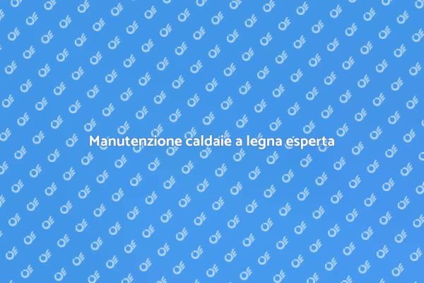 Manutenzione caldaie a legna professionale