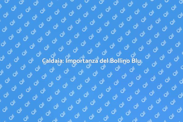 Bollino Blu: Sicurezza per la Caldaia