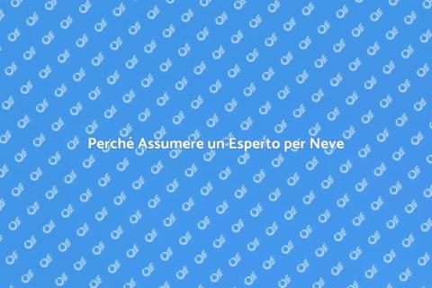 Rimozione Neve: Assumi un Professionista