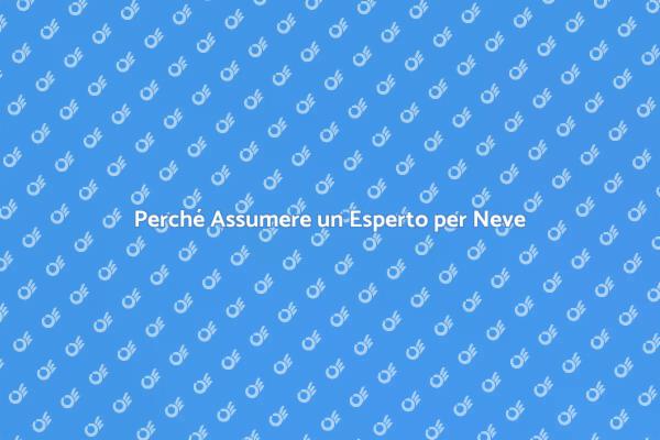 Sicurezza Invernale: Assumi un Esperto