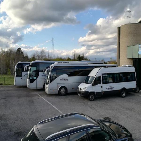 Autoservizi Bevilacqua  - Foto 6