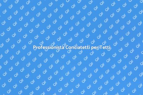 Ingaggiare un Conciatetti Professionista