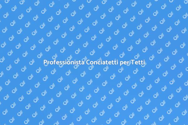 Ristrutturare con un Conciatetti Esperto
