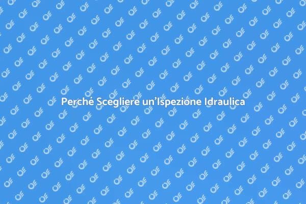 Manutenzione Idraulica: Un Passo Fondamentale