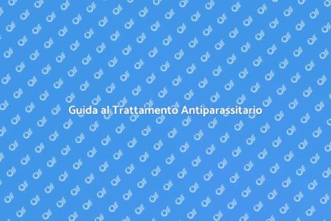 Trattamento Antiparassitario Cimici