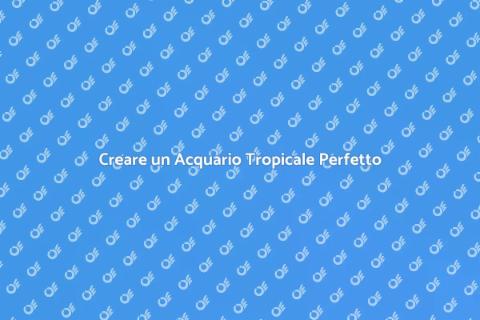 Allestimento Acquario Tropicale