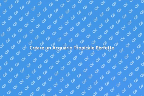 Guida all'Allestimento di un Acquario