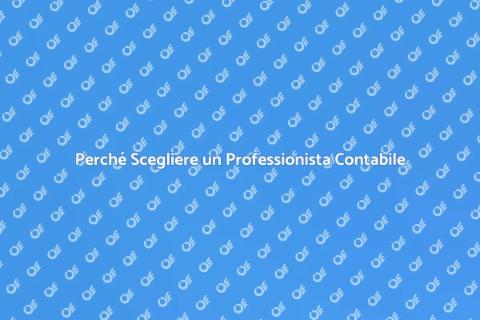 Professionista Contabile: Guida Completa
